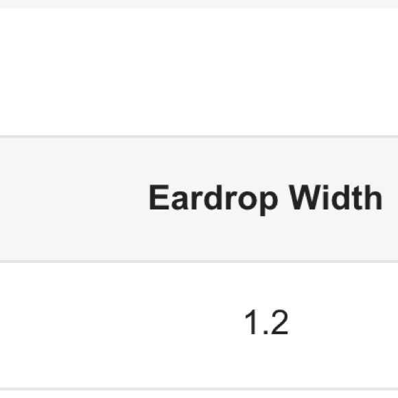 Golden Hoop Earrings - Picture 7 of 7